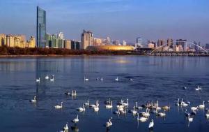 三門(mén)峽又一網(wǎng)紅景點(diǎn)，確定不來(lái)pick一下？